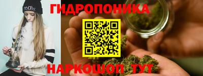 прущие крисы Нальчик